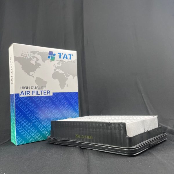 28113-F0000 - TAT Filter