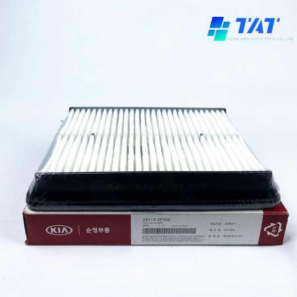 loc-gio-dong-co-28113-2P300 - TAT Filter