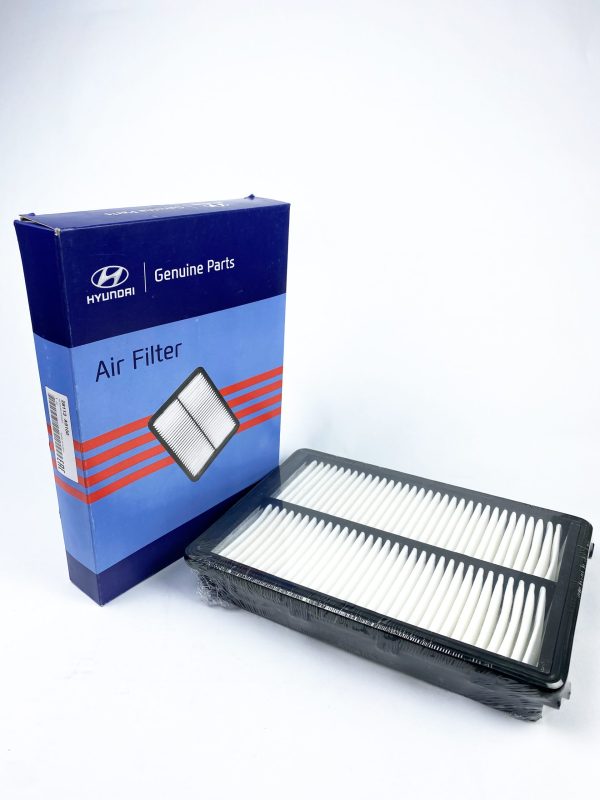 loc-gio-dong-co-28113-A9100 - TAT Filter