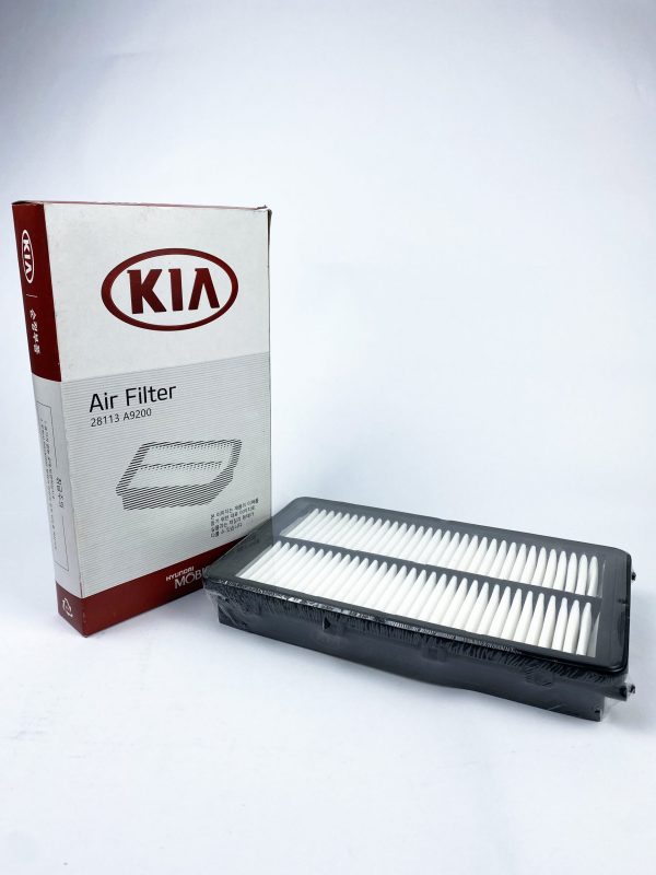 loc-gio-dong-co-28113-A9200 - TAT Filter
