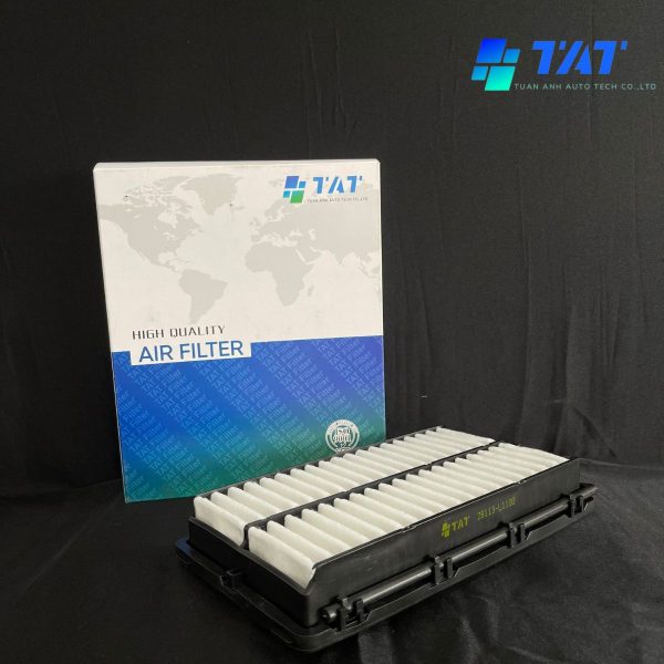28113-L1100 - TAT Filter