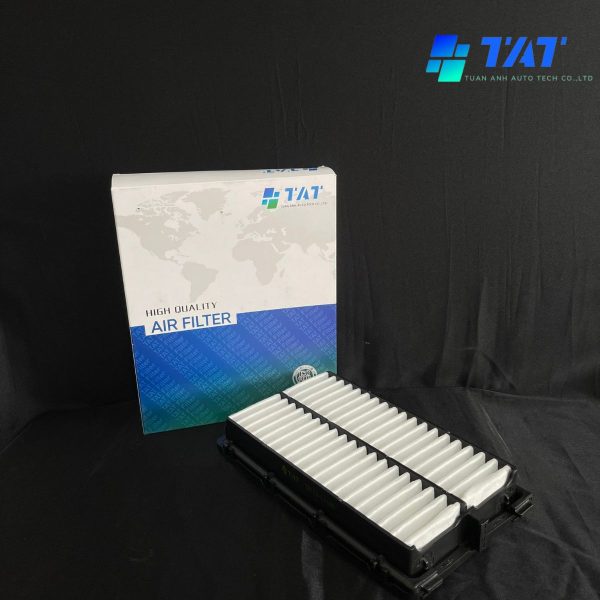 28113-L1100 - TAT Filter