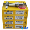 NGK BKR5EGP (7) - TAT Filter
