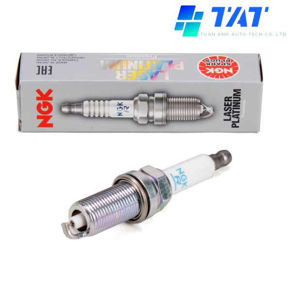 PLZFR6A-11S (3) - TAT Filter