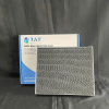 4 - TAT Filter